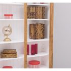 Direktor könyvespolc