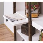 Direktor könyvespolc